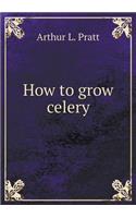 How to grow celery