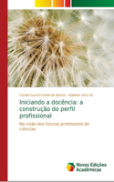 Iniciando a docência: a construção do perfil profissional