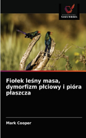 Fiolek lesny masa, dymorfizm plciowy i pióra plaszcza