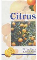 Citrus