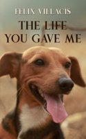 Life You Gave Me