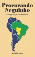 Procurando Neguinho