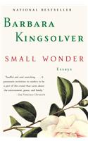 Small Wonder: Essays