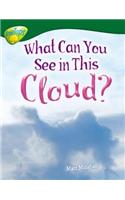 Oxford Reading Tree: Level 12: Treetops Non-Fiction: What Can You See in This Cloud?