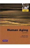 Human Aging