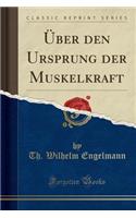 ï¿½ber Den Ursprung Der Muskelkraft (Classic Reprint)