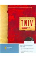 Study Bible-TNIV