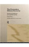 The Premodern Chinese Economy