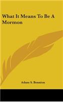 What It Means To Be A Mormon