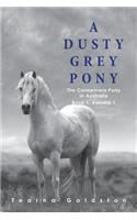 Dusty Grey Pony Book 1 Volume 1