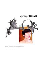 Spring FREEZE