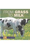 From Grass to Milk