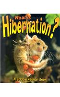 What is Hibernation