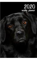 2020 Weekly Planner: 6 X 9 In. Black Labrador Retriever 52 Weekly Calendar Schedule Organizer Appointment Journal Notebook for Dog Fans