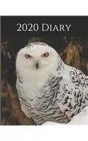 2020 Diary: Weekly Planner & Monthly Calendar - Desk Diary, Journal, Snowy Owl, Alaskan Owls, Alaska, North American Wildlife, Arctic Wildlife, Arctic Owl, Raw (Creative Fusion Diary)