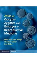 Atlas of Oocytes, Zygotes and Embryos in Reproductive Medicine Hardback