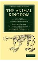 Animal Kingdom - Volume 11
