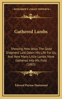 Gathered Lambs: Showing How Jesus The Good Shepherd Laid Down His Life For Us, And How Many Little Lambs Have Gathered Into His Fold (1883)