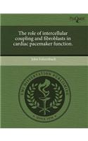 The Role of Intercellular Coupling and Fibroblasts in Cardiac Pacemaker Function