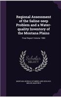 Regional Assessment of the Saline-Seep Problem and a Water-Quality Inventory of the Montana Plains