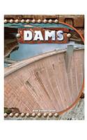 Rigby Focus Forward: Leveled Reader Dams