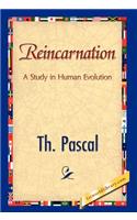 Reincarnation