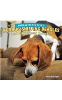 Bedbug-Sniffing Beagles and Other Scent Hounds