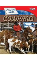 A Day in the Life of a Cowhand (Library Bound)