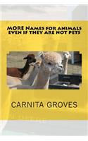 MORE Names for animals even if they are not pets