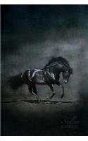 Stallion Journal