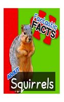 Fantastic Facts about Squirrels