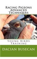 Racing Pigeons Advanced Techniques