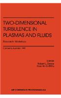 Two-Dimensional Turbulence in Plasmas and Fluids Research Workshop