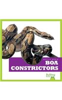 Boa Constrictors: (Reptiles)