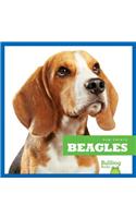 Beagles