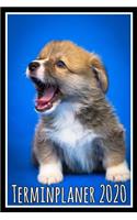 Terminplaner 2020