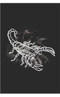 Scorpion: Journal, Notebook