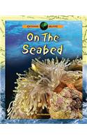 On the Seabed