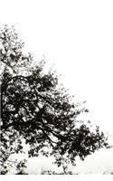 Tree Notebook