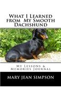 What I Learned from My Smooth Dachshund