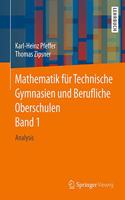 Mathematik Für Technische Gymnasien Und Berufliche Oberschulen Band 1