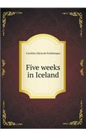 Five Weeks in Iceland