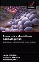 Posocznica drożdżowa Candidagenus