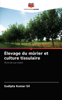 Élevage du mûrier et culture tissulaire
