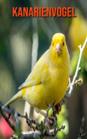 Kanarienvogel