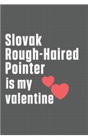 Slovak Rough-Haired Pointer is my valentine: For Slovak Rough-Haired Pointer Dog Fans