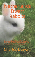 Netherlands Dwarf Rabbits: Netherlands Dwarf Rabbits: The Complete Guide How To Breed, Feed, House And Care For Netherlands Dwarf Rabbits As Pets