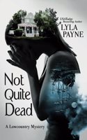 Not Quite Dead (A Lowcountry Mystery): (1 Lowcountry Mystery)