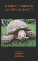 Guía de Introducción a la Tortuga de Espolones Africana O Sulcata