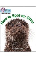 Be an Otter Expert